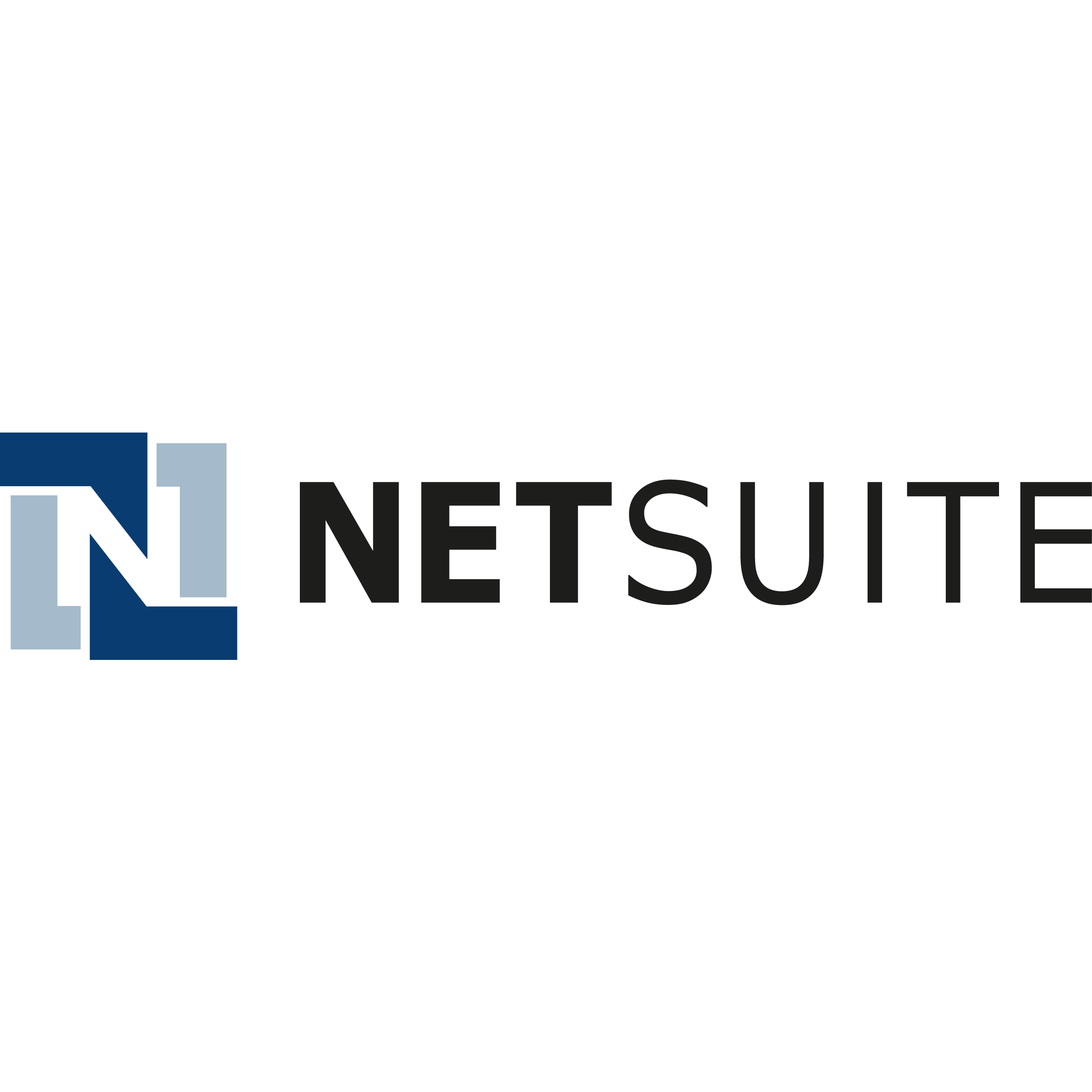 Netsuite Cloud Erp